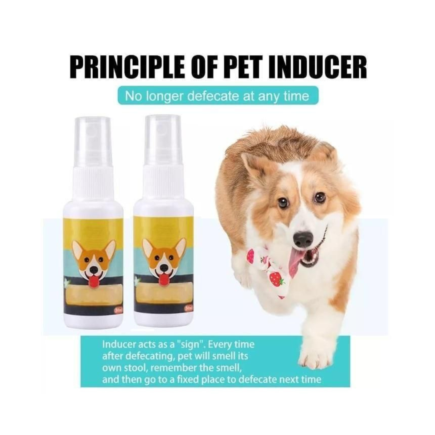 Potty Training Spary  30ml each (Pack of 2) Dog & Cat